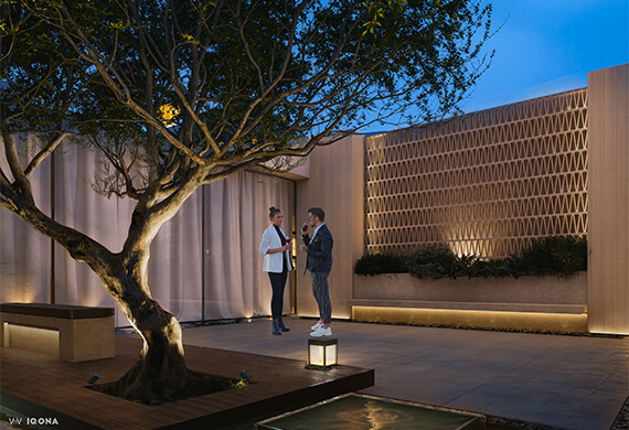 The Palm experience